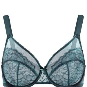 Elegant Lace Teal Bra